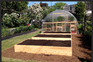 BUFCO greenhouse and edible backyard